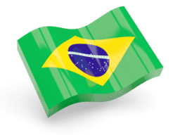 Polypropyle Woven Bags in brazil