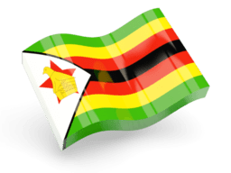 Poly Lined Paper Bags in Zimbabwe